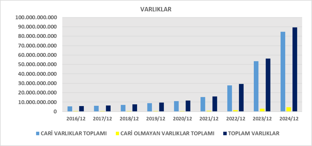 ANSGR BİLANÇO ANALİZİ 2024/12 Image 282 1024x479