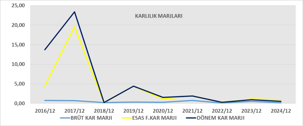 VKGYO BİLANÇO ANALİZİ 2024/12 Image 646 1024x426