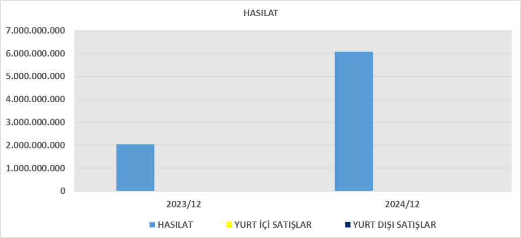 VKGYO BİLANÇO ANALİZİ 2024/12 Image 648 1024x468