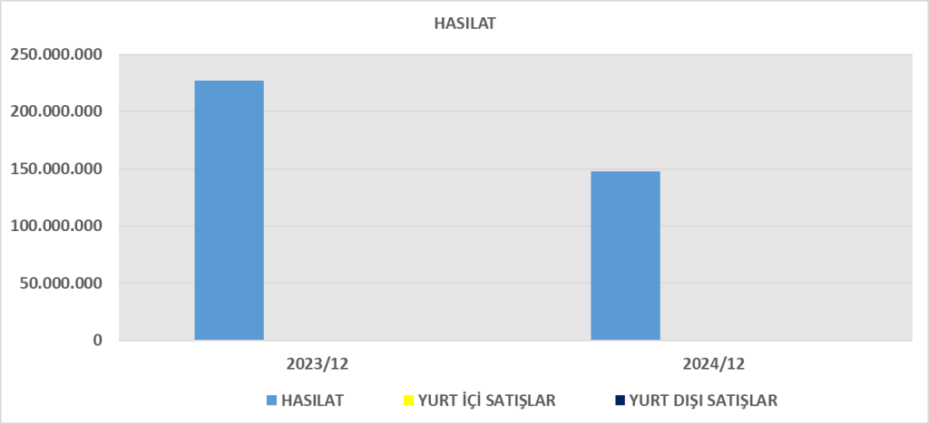 VKFYO BİLANÇO ANALİZİ 2024/12 Image 667 1024x468