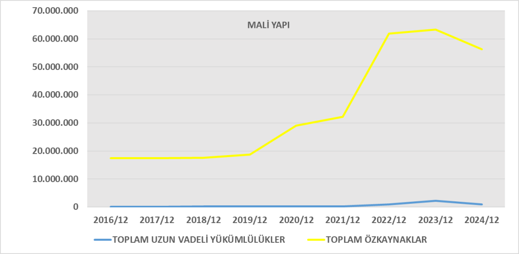 VKFYO BİLANÇO ANALİZİ 2024/12 Image 673 1024x501
