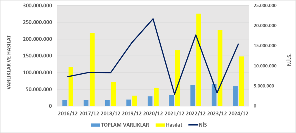 VKFYO BİLANÇO ANALİZİ 2024/12 Image 674 1024x462