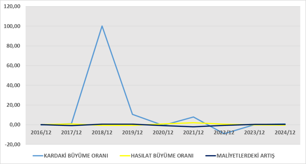 VKFYO BİLANÇO ANALİZİ 2024/12 Image 678 1024x548
