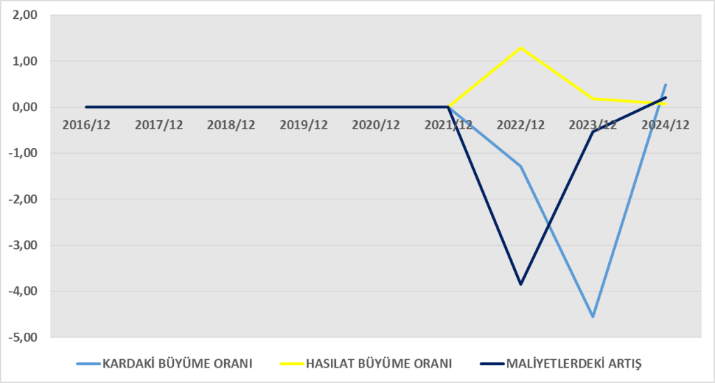 ONCSM BİLANÇO ANALİZİ 2024/12 Image 895 1024x548