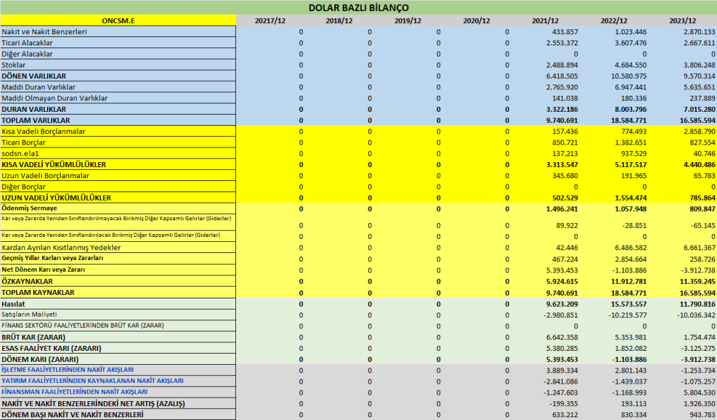 ONCSM BİLANÇO ANALİZİ 2024/12 Image 896 1024x601