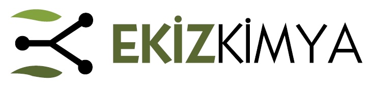 EKIZ BİLANÇO ANALİZİ 2024/12 Ekiz