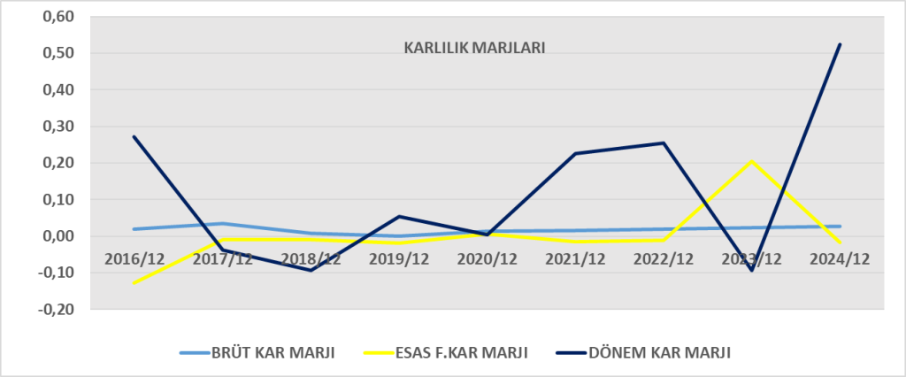 EKIZ BİLANÇO ANALİZİ 2024/12 Image 75 1024x426