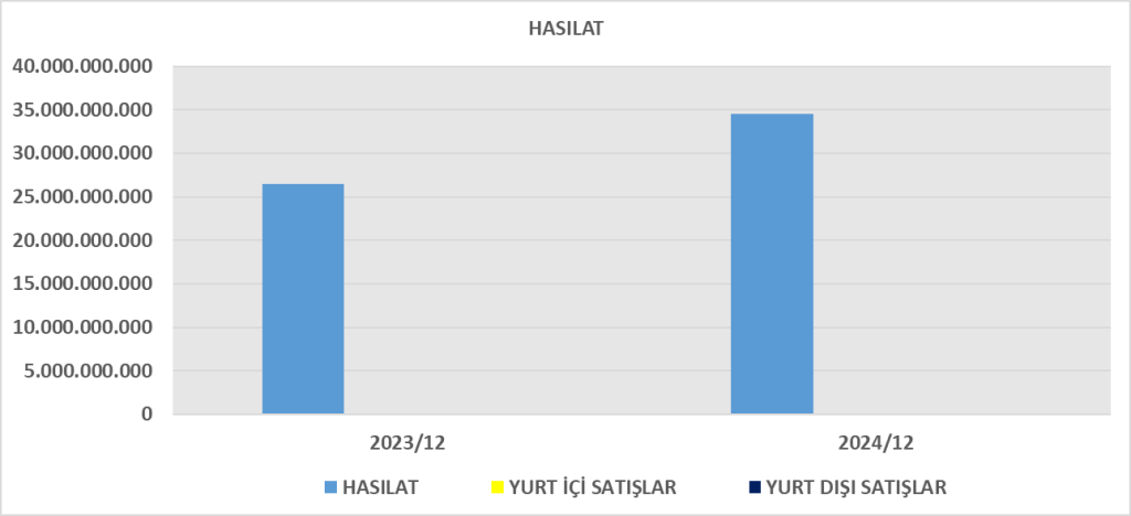 GLRMK BİLANÇO ANALİZİ 2024/12 Image 110 1024x468