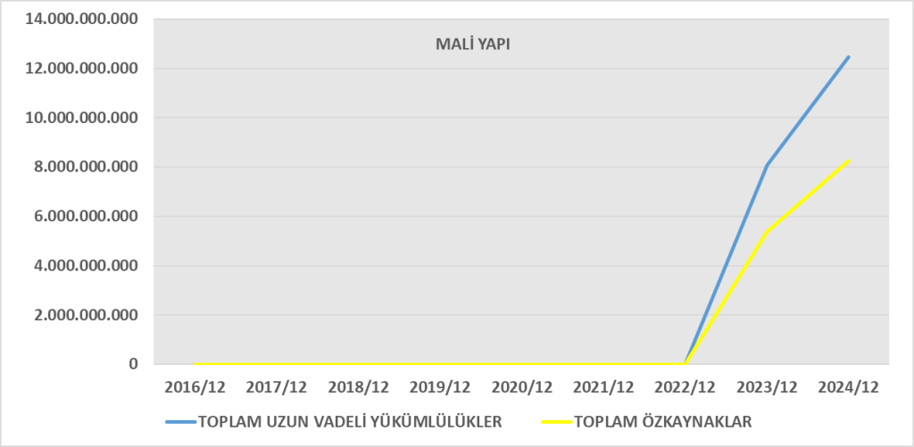 GLRMK BİLANÇO ANALİZİ 2024/12 Image 116 1024x501