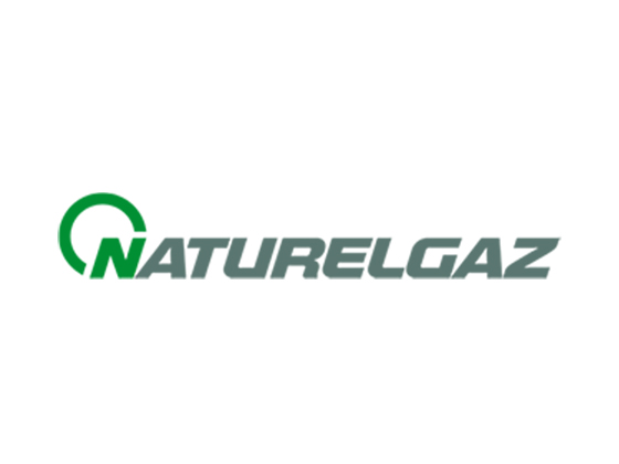 NTGAZ BİLANÇO ANALİZİ 2025/6 NTGAZ