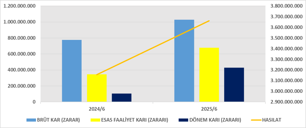 NTGAZ BİLANÇO ANALİZİ 2025/6 Image 236 1024x430