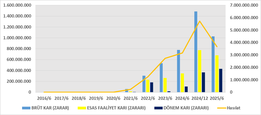 NTGAZ BİLANÇO ANALİZİ 2025/6 Image 237 1024x452