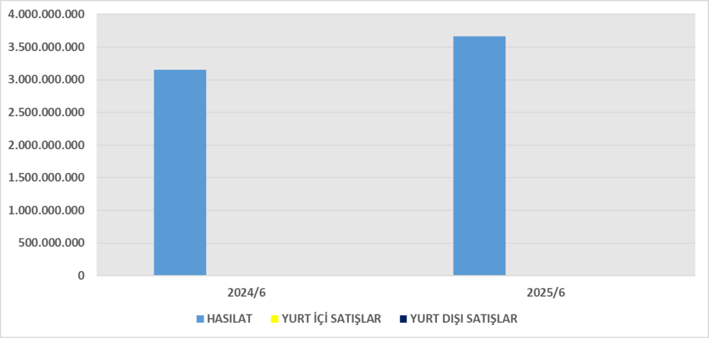 NTGAZ BİLANÇO ANALİZİ 2025/6 Image 240 1024x489
