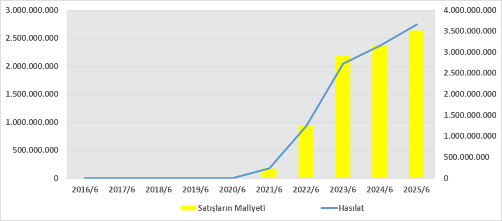 NTGAZ BİLANÇO ANALİZİ 2025/6 Image 241 1024x451