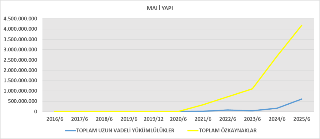 NTGAZ BİLANÇO ANALİZİ 2025/6 Image 246 1024x445