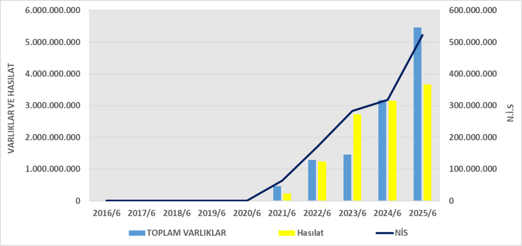 NTGAZ BİLANÇO ANALİZİ 2025/6 Image 247 1024x483