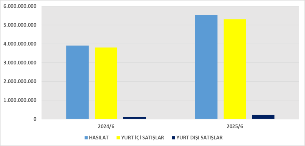 NETAS BİLANÇO ANALİZİ 2025/6 Image 556 1024x489