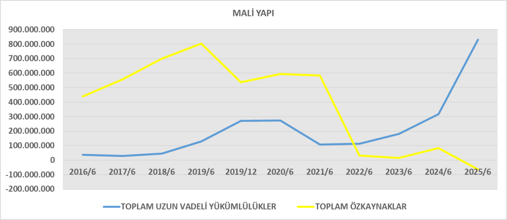 NETAS BİLANÇO ANALİZİ 2025/6 Image 562 1024x445