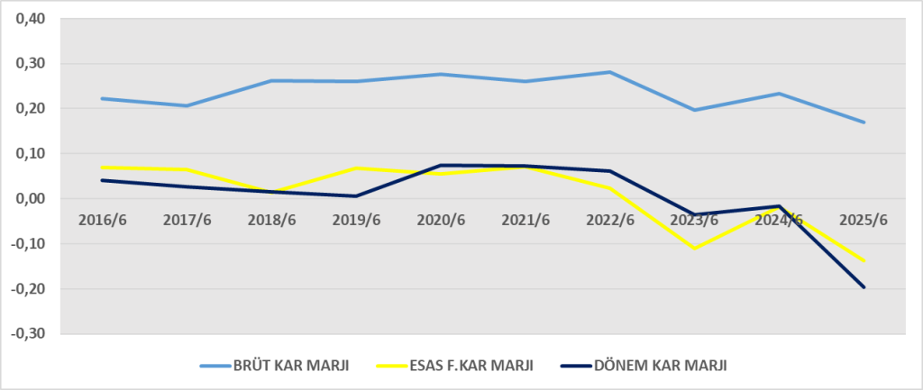 VESTL BİLANÇO ANALİZİ 2025/6 Image 789 1024x433