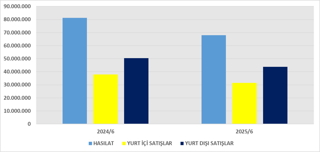VESTL BİLANÇO ANALİZİ 2025/6 Image 791 1024x489