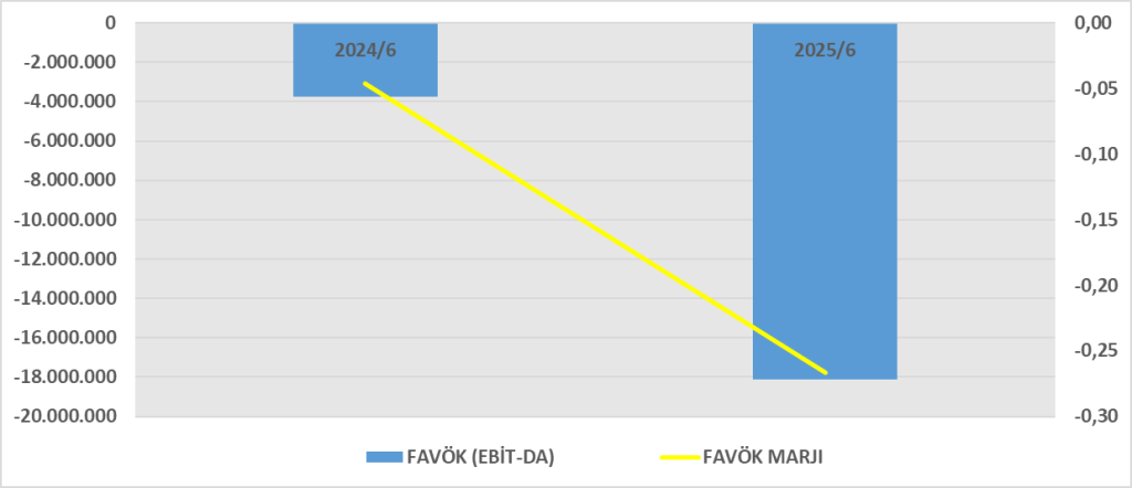 VESTL BİLANÇO ANALİZİ 2025/6 Image 794 1024x442