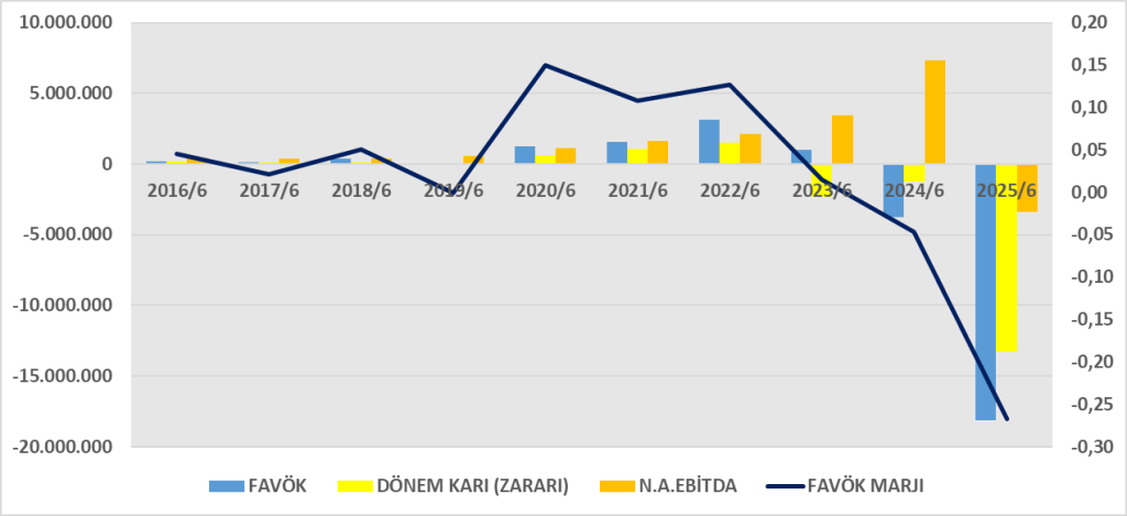 VESTL BİLANÇO ANALİZİ 2025/6 Image 795 1024x469