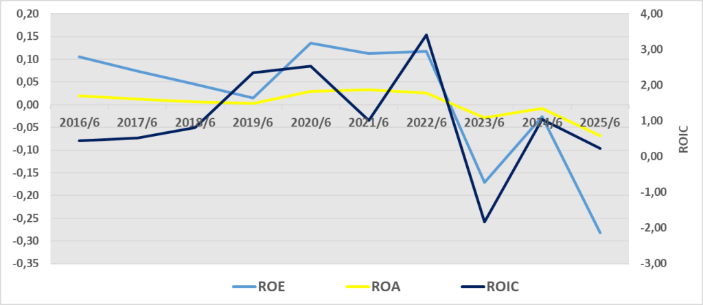 VESTL BİLANÇO ANALİZİ 2025/6 Image 801 1024x444