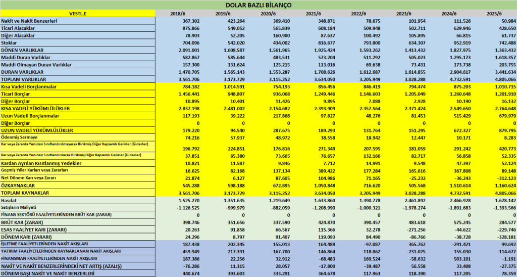 VESTL BİLANÇO ANALİZİ 2025/6 Image 803 1024x548