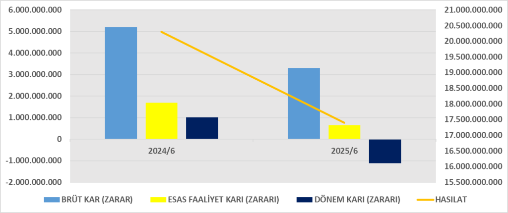 BRISA BİLANÇO ANALİZİ 2025/6 Image 113 1024x430