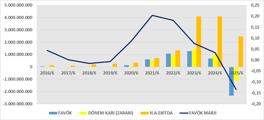 BRISA BİLANÇO ANALİZİ 2025/6 Image 121 1024x469