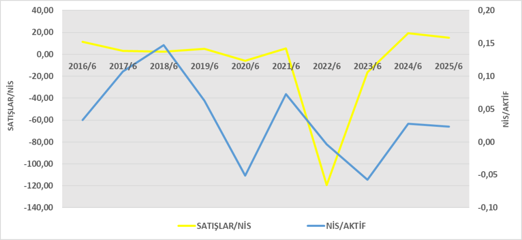 BRISA BİLANÇO ANALİZİ 2025/6 Image 125 1024x471