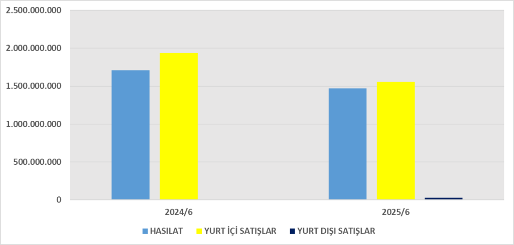 AFYON BİLANÇO ANALİZİ 2025/6 Image 1507 1024x489