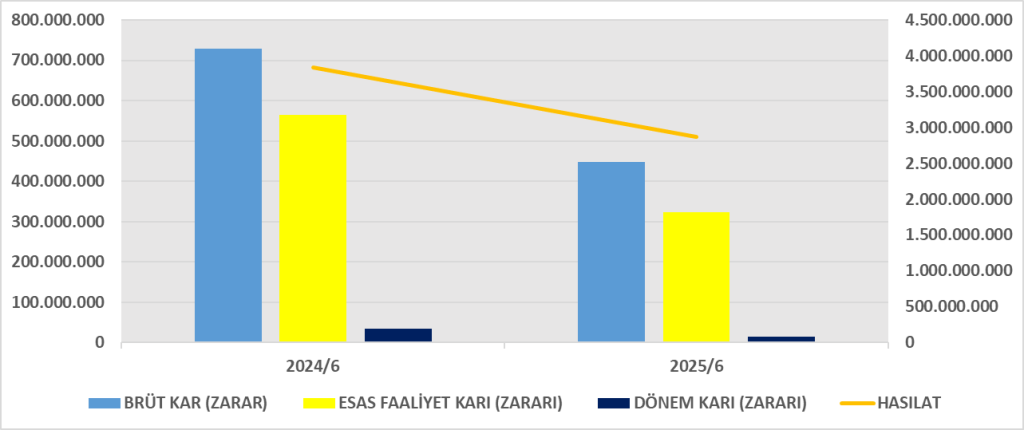 CEMTS BİLANÇO ANALİZİ 2025/6 Image 170 1024x430