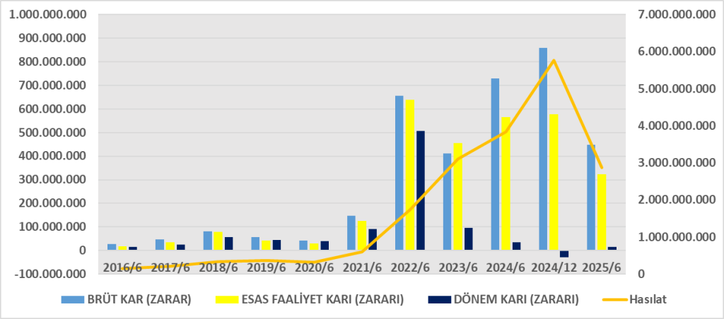 CEMTS BİLANÇO ANALİZİ 2025/6 Image 171 1024x452