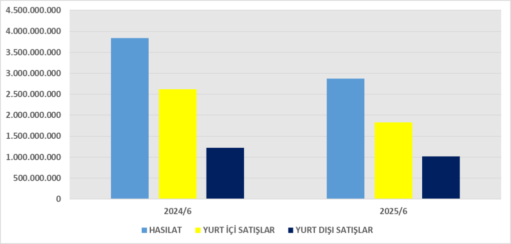 CEMTS BİLANÇO ANALİZİ 2025/6 Image 174 1024x489