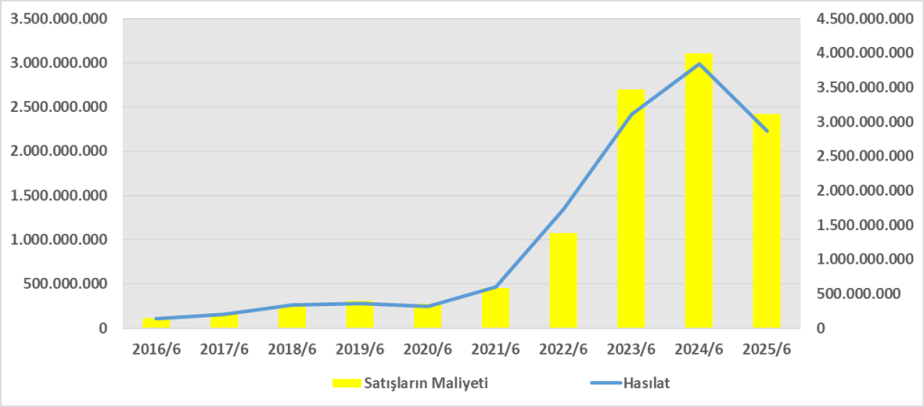 CEMTS BİLANÇO ANALİZİ 2025/6 Image 175 1024x451