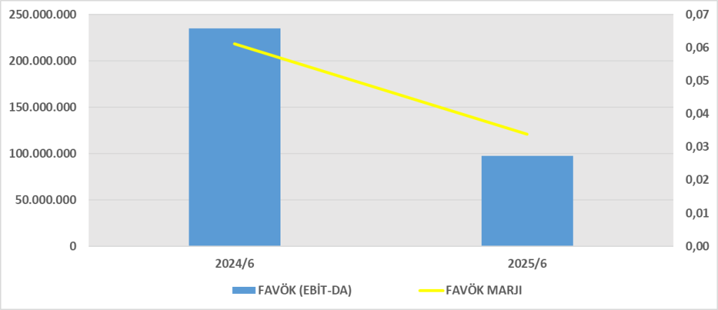 CEMTS BİLANÇO ANALİZİ 2025/6 Image 177 1024x442