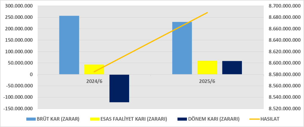 BEYAZ BİLANÇO ANALİZİ 2025/6 Image 1867 1024x430