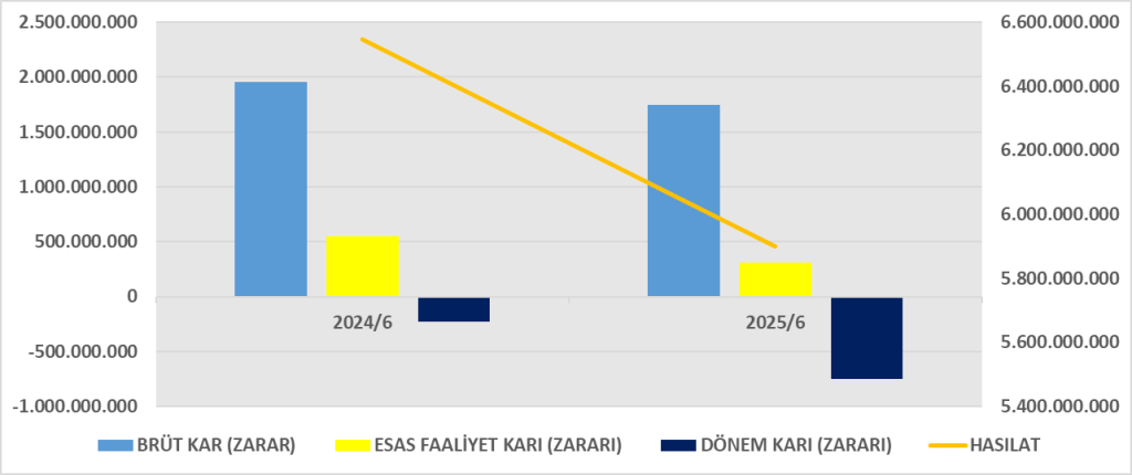 DARDL BİLANÇO ANALİZİ 2025/6 Image 189 1024x430