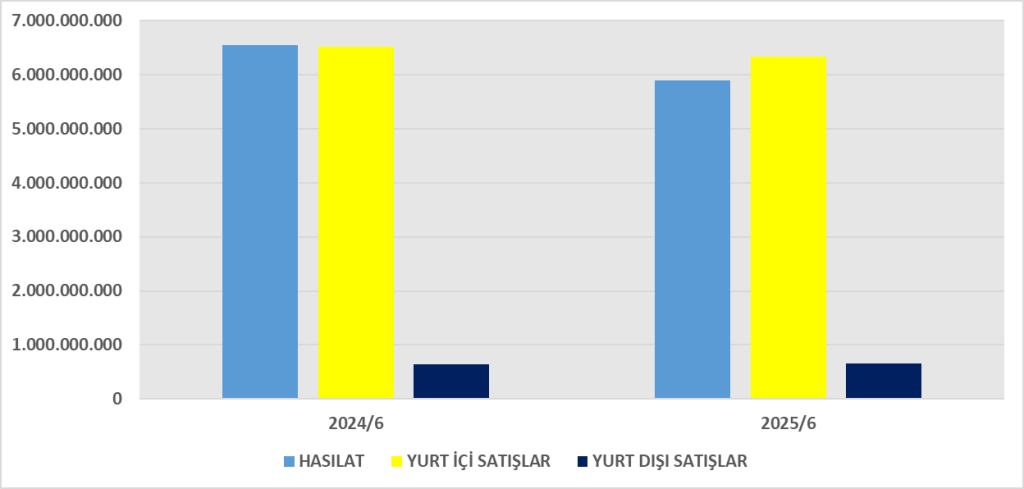 DARDL BİLANÇO ANALİZİ 2025/6 Image 193 1024x489