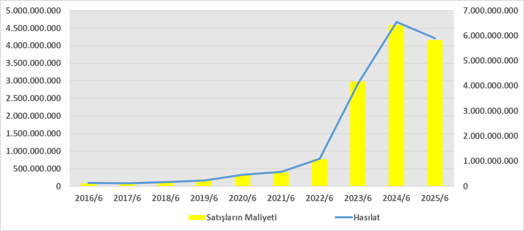 DARDL BİLANÇO ANALİZİ 2025/6 Image 194 1024x451