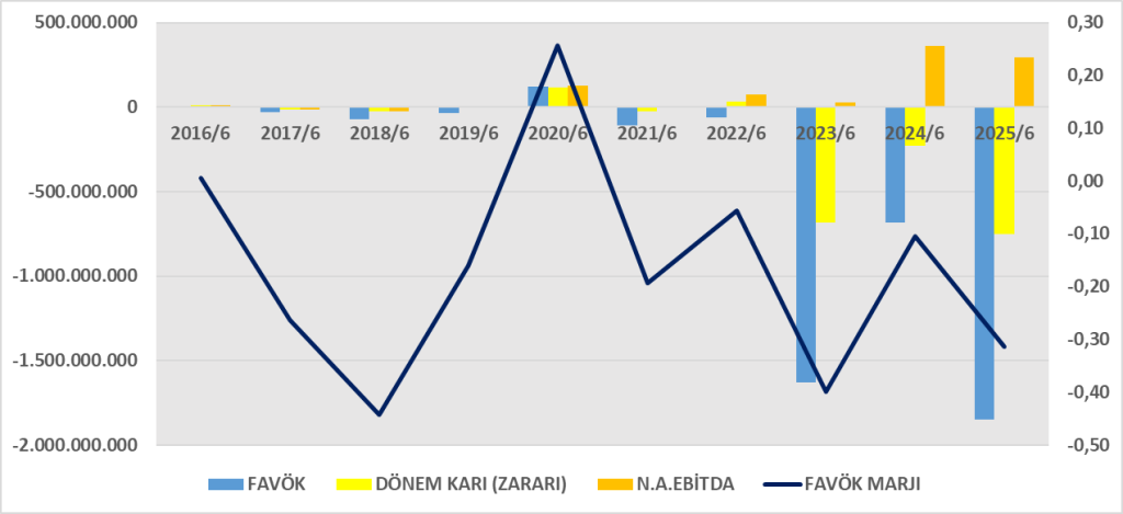 DARDL BİLANÇO ANALİZİ 2025/6 Image 197 1024x469