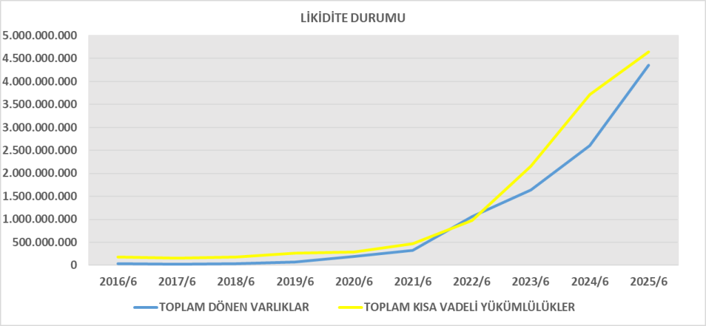 DARDL BİLANÇO ANALİZİ 2025/6 Image 198 1024x473