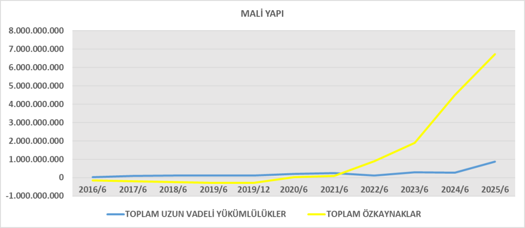 DARDL BİLANÇO ANALİZİ 2025/6 Image 199 1024x445
