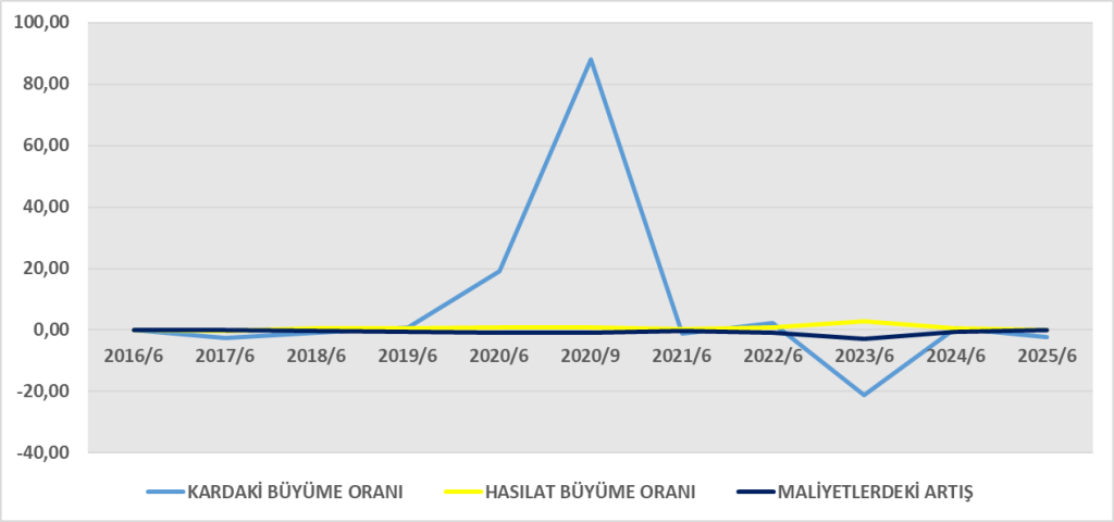DARDL BİLANÇO ANALİZİ 2025/6 Image 204 1024x480