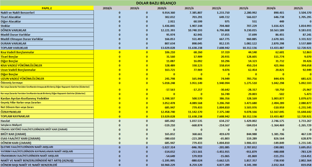 PAPIL BİLANÇO ANALİZİ 2025/6 Image 2239 1024x548