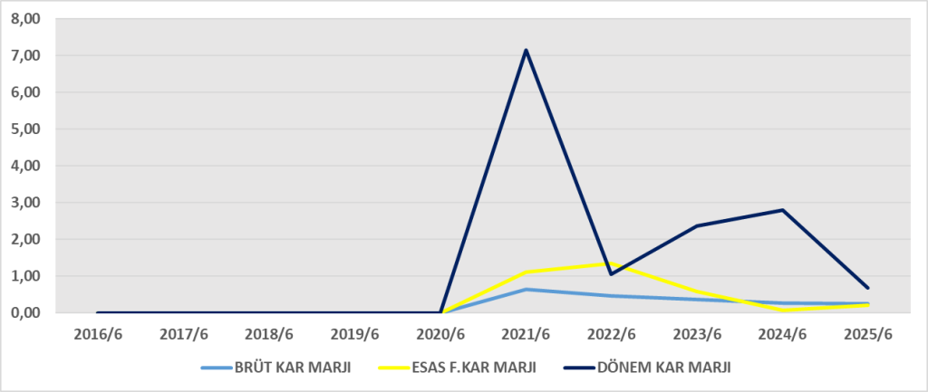 MAGEN BİLANÇO ANALİZİ 2025/6 Image 650 1024x433