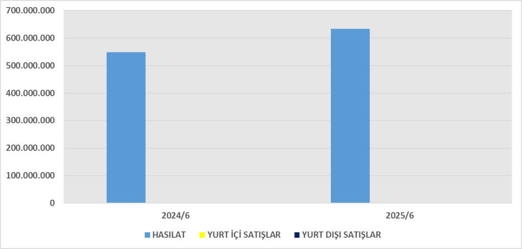 MAGEN BİLANÇO ANALİZİ 2025/6 Image 652 1024x489