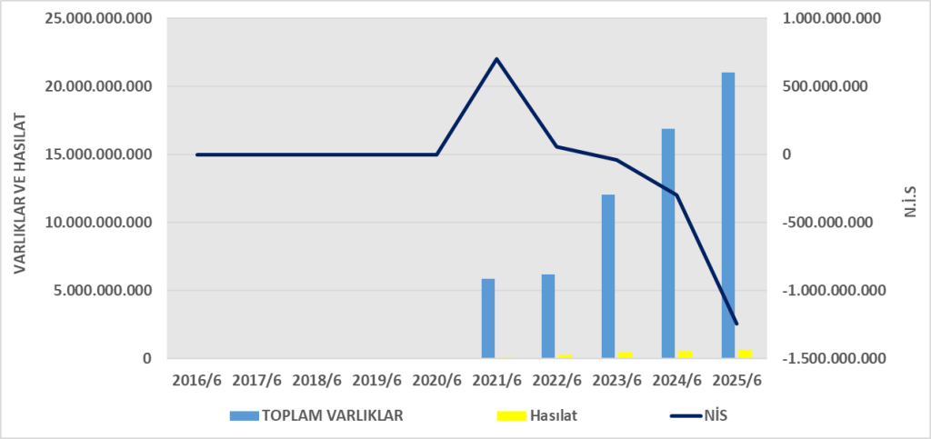 MAGEN BİLANÇO ANALİZİ 2025/6 Image 659 1024x483