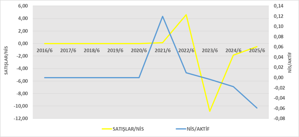 MAGEN BİLANÇO ANALİZİ 2025/6 Image 660 1024x471